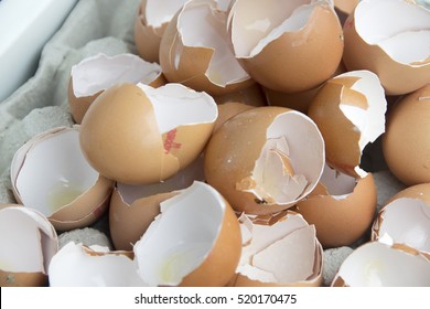 Open egg shells
