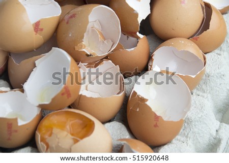 Open egg shells