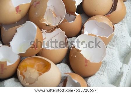Open egg shells