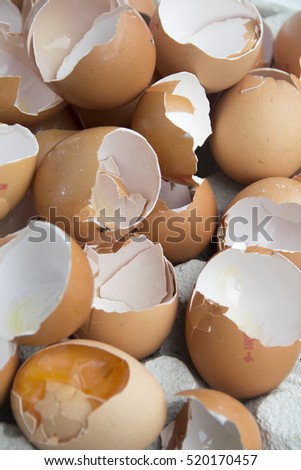 Open egg shells