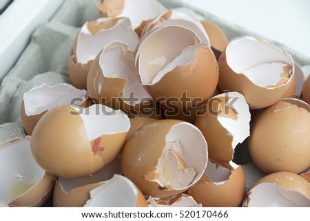 Open egg shells