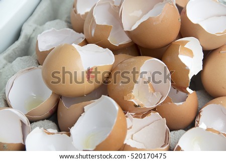 Open egg shells