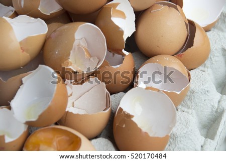 Open egg shells