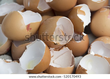 Open egg shells