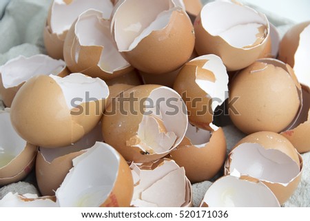Open egg shells