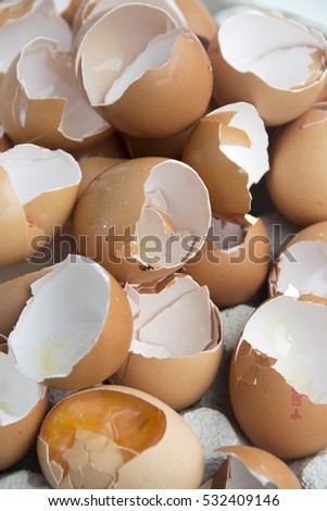 Open egg shells