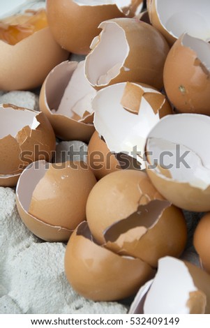 Open egg shells