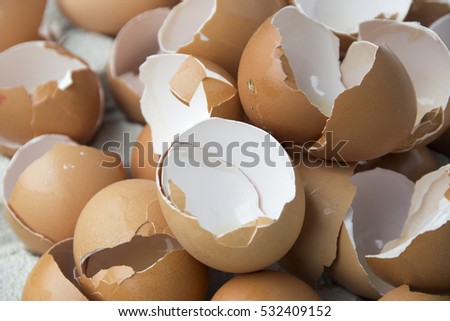 Open egg shells