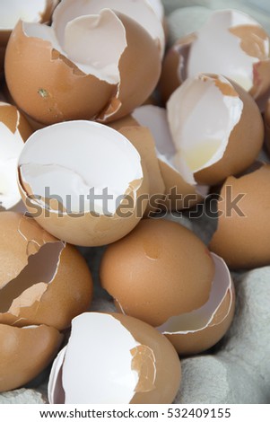 Open egg shells