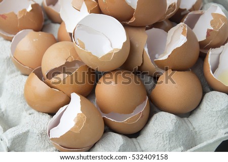 Open egg shells