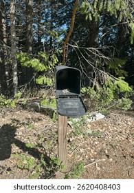 Open empty black mailbox in forest setting 