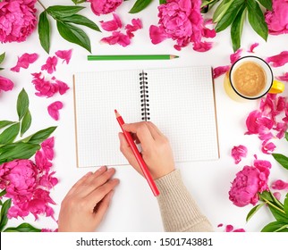 open empty notebook in a cage and two female hands, yellow cup with coffee on a white background, around the perimeter of blooming red peonies, top view