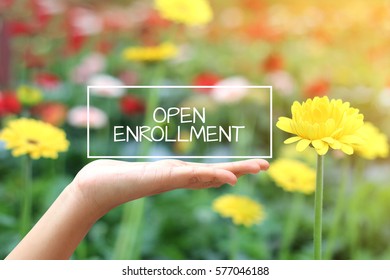 Open Enrollment word on the white box. concept hand with natural background
