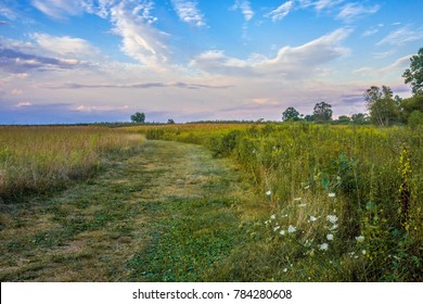 An Open Field At Dusk In Monmouth Battlefield State Park In New Jersey.