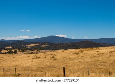 Open Field, Empty Landscape