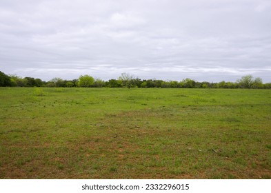 Open field of green grass with cloudy sky - Powered by Shutterstock