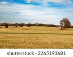 Open field at Manassas National Battlefield Park in autumn where the Battle of Bull Run was fought during the US Civil War