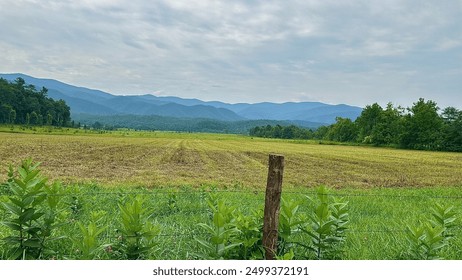 Open field with mountains in the background