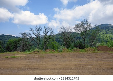 Open field with sparse trees under bright sky. Hills covered in green foliage stretch in distance. Dirt ground shows signs of recent activity