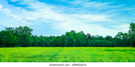 Open Field In Suffolk, Virginia