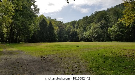 open field with surrounding trees