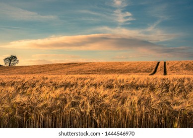 Open fields is always a calm feeling.