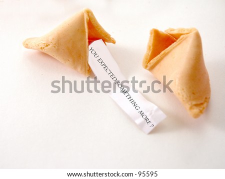 Open Fortune Cookie with a fortune of “You Expected Something More?”