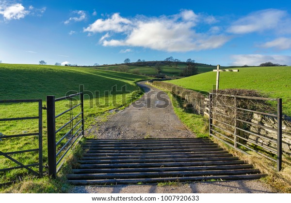 An open gate and\
a cattle grid leading to a country track running through green\
fields in Northern england