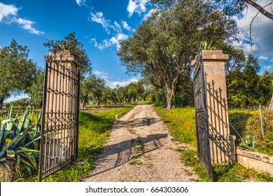 open gate images stock photos vectors shutterstock