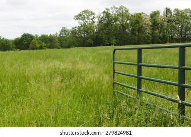 Open Gate Leading Into A Grass Field