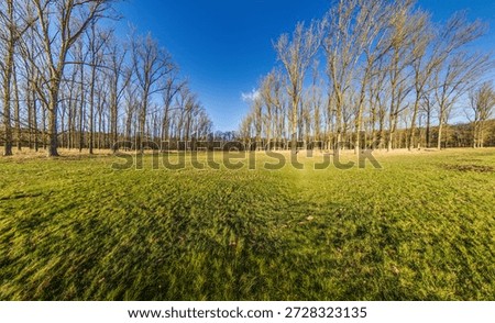 Open grassland with bare deciduous trees on a sunny day creating a calm rural landscape with wide panorama and clear sky