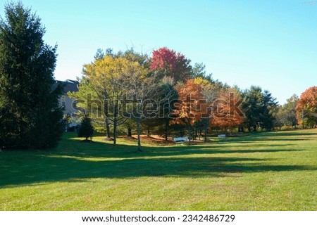 An open grassy field with white benches and trees with colored autumn leaves near a housing development