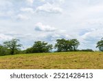 Open grassy hill under a partly cloudy sky with trees in the distance.