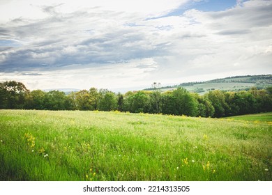 Open Green Field Pasture Cloudy Sky