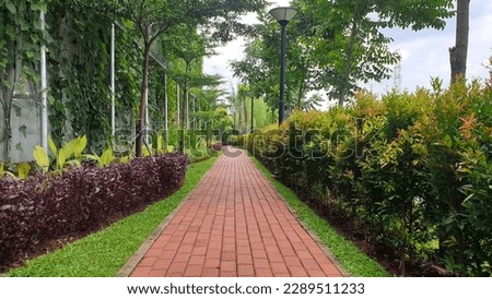 
open green space means jogging track on the edge of the lake