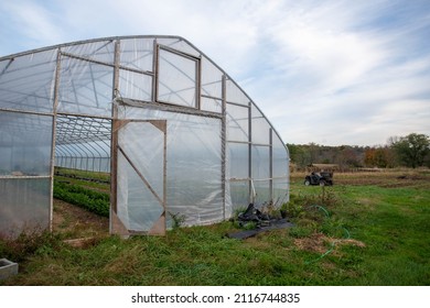 Open Greenhouse Door Shows Rows Of Vegetable Plants Inside. An Off Road Vehicle Sits By The Gardens In The Background. Green Grass Rural Landscape With No People, Shot In Natural Light, With Copy