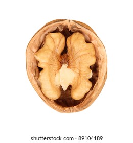 open half a walnut in shell, in isolation, white background