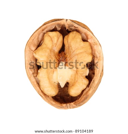 open half a walnut in shell, in isolation, white background