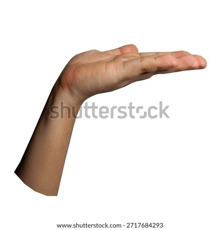Open hand facing the camera as if offering something. Gentle gesture symbolizes giving, openness, trust, and human dignity—ideal for Human Rights Day, compassion themes, inclusion messages