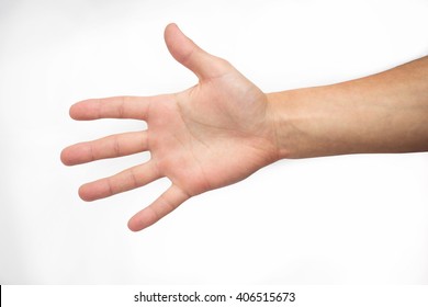 Open Hand. On White Background