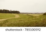 Open hilly field with distant trees Michigan