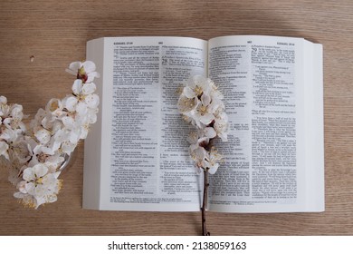 25,139 Holy bible open Images, Stock Photos & Vectors | Shutterstock