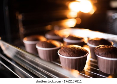 Open home oven with chocolate tasty muffins in baking forms on tray at home. Making fresh cupcakes in stove close up for sell. 