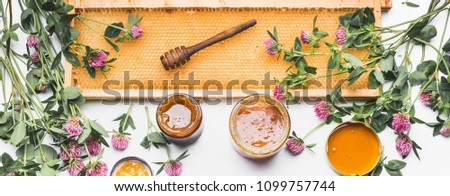 Similar – Image, Stock Photo Honey in glass with honeycomb and blossoms