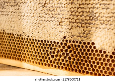 Open Honeycomb In Wooden Frame On The Table