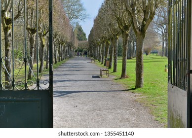 Open Iron Gate On A Tree-lined Walway In A Park 