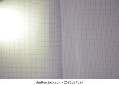 Open notebook with blank grid paper pages. - Powered by Shutterstock - Get 15% off with code: PIKWIZARD15