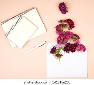 open notebook with blank sheets and Turkish carnation Dianthus barbatus flower buds and a white paper envelope on a peach background, top view