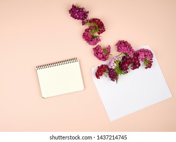 open notebook with blank sheets and Turkish carnation Dianthus barbatus flower buds and a white paper envelope on a peach background, top view