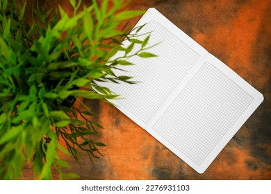 open notebook for notes and a green flower in a pot on an abstract background close-up top view and with empty space to insert text